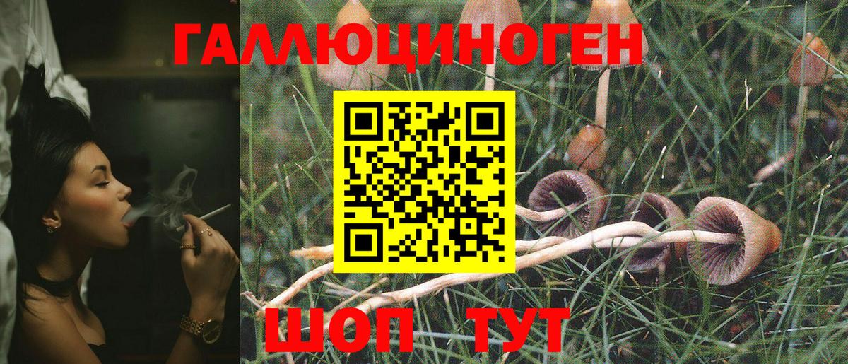 Мурманск  Псилоцибиновые грибы мухоморы  как найти   Вход с VPN  Галлюциногенные грибы Psilocybe 