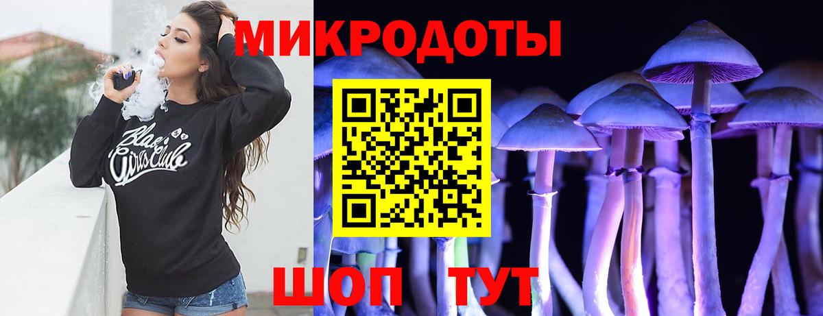 Псилоцибиновые грибы мухоморы Мурманск